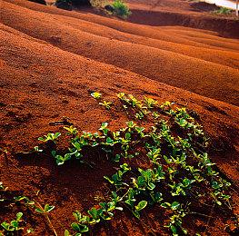 Epic喜加一：《炽焰之帆＆Blazing Sails》免费领！
